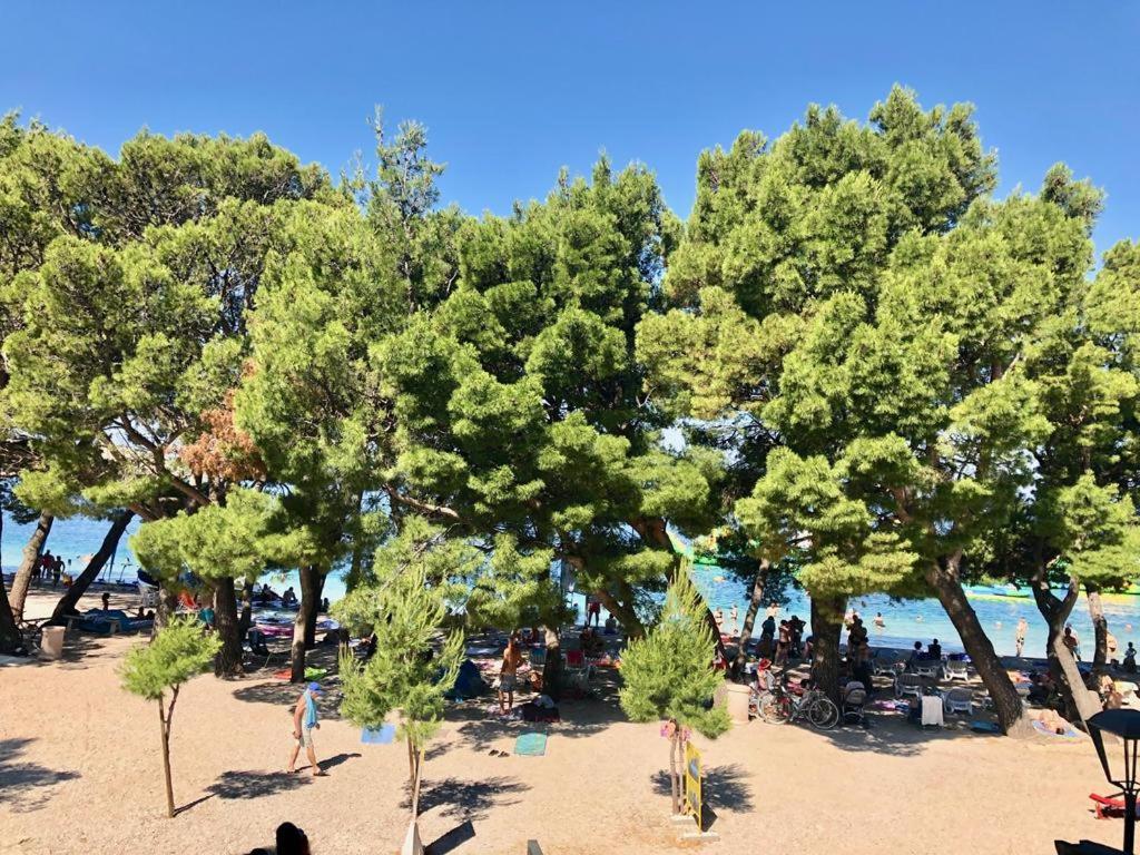 Luxury Apartment Alexandar Makarska Dış mekan fotoğraf