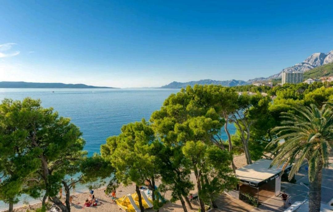 Luxury Apartment Alexandar Makarska Dış mekan fotoğraf